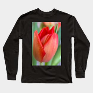 Blooming Tulip Greeting Card Long Sleeve T-Shirt